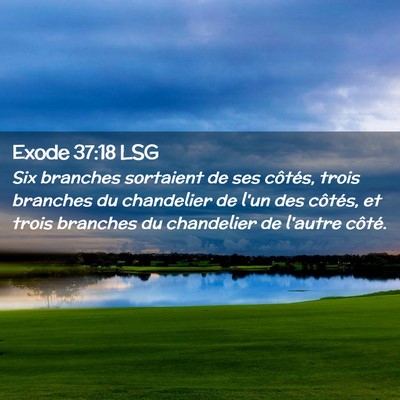 Picture 02 - Exode 37:18 LSG - Six branches sortaient de ses côtés, trois - Bible Verse Picture