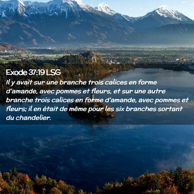 Picture 02 - Exode 37:19 LSG - Il y avait sur une branche trois calices en forme - Bible Verse Picture