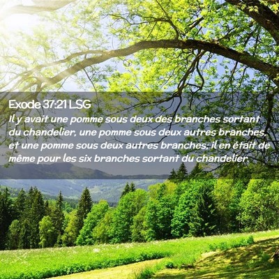 Picture 02 - Exode 37:21 LSG - Il y avait une pomme sous deux des branches - Bible Verse Picture