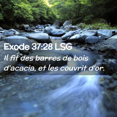 Picture 02 - Exode 37:28 LSG - Il fit des barres de bois d'acacia, et les - Bible Verse Picture