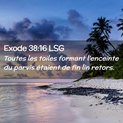 Picture 02 - Exode 38:16 LSG - Toutes les toiles formant l'enceinte du parvis - Bible Verse Picture