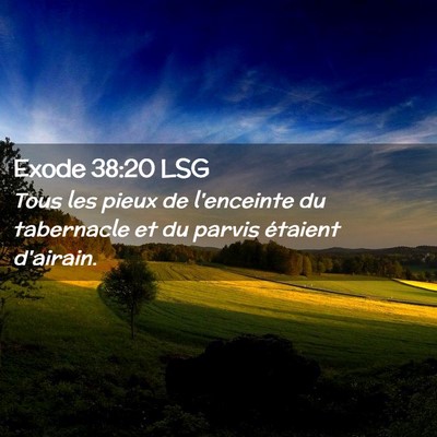 Picture 02 - Exode 38:20 LSG - Tous les pieux de l'enceinte du tabernacle et du - Bible Verse Picture