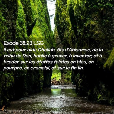 Picture 02 - Exode 38:23 LSG - il eut pour aide Oholiab, fils d'Ahisamac, de la - Bible Verse Picture