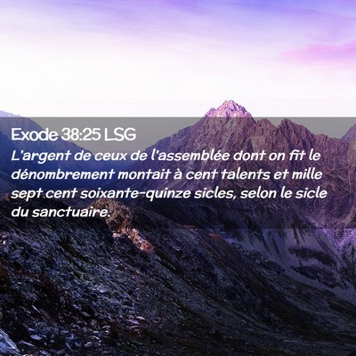 Picture 02 - Exode 38:25 LSG - L'argent de ceux de l'assemblée dont on fit le - Bible Verse Picture