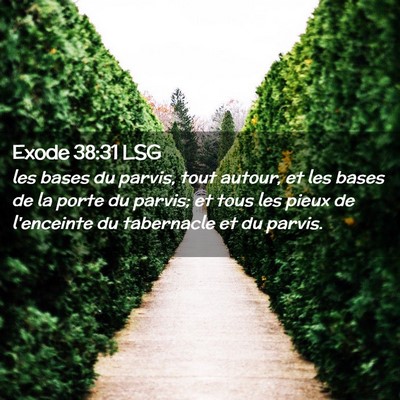 Picture 02 - Exode 38:31 LSG - les bases du parvis, tout autour, et les bases de - Bible Verse Picture