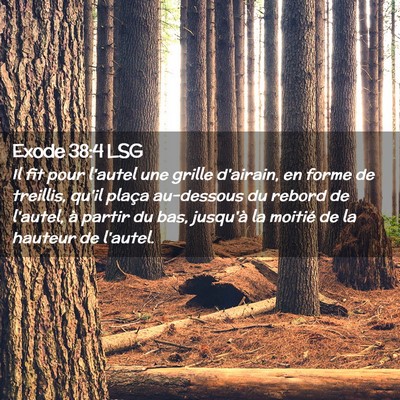 Picture 02 - Exode 38:4 LSG - Il fit pour l'autel une grille d'airain, en forme - Bible Verse Picture