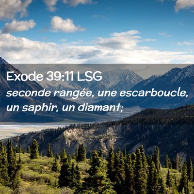 Picture 02 - Exode 39:11 LSG - seconde rangée, une escarboucle, un saphir, un - Bible Verse Picture