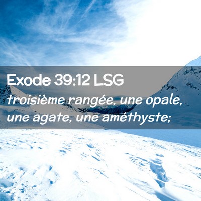 Picture 02 - Exode 39:12 LSG - troisième rangée, une opale, une agate, une - Bible Verse Picture
