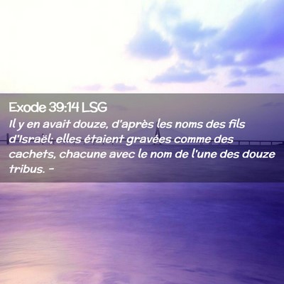 Picture 02 - Exode 39:14 LSG - Il y en avait douze, d'après les noms des fils - Bible Verse Picture