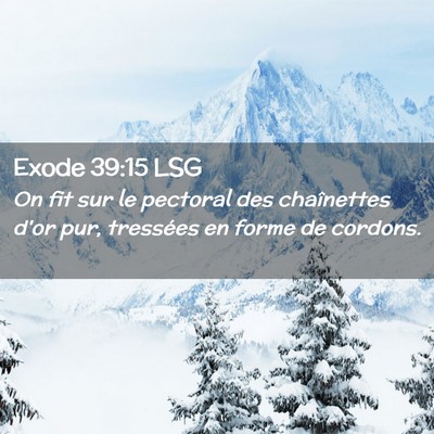 Picture 02 - Exode 39:15 LSG - On fit sur le pectoral des chaînettes d'or pur, - Bible Verse Picture