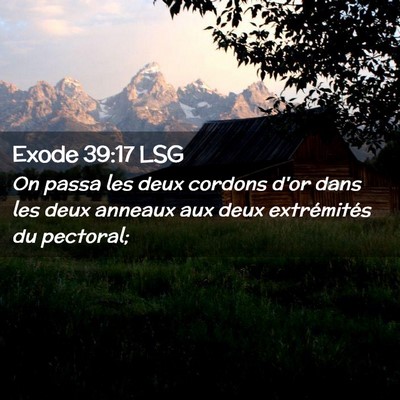 Picture 02 - Exode 39:17 LSG - On passa les deux cordons d'or dans les deux - Bible Verse Picture