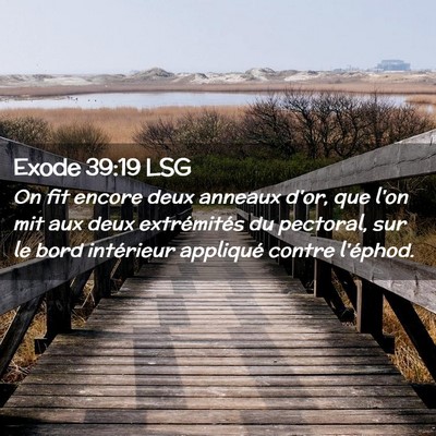 Picture 02 - Exode 39:19 LSG - On fit encore deux anneaux d'or, que l'on mit aux - Bible Verse Picture