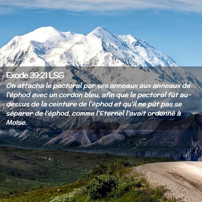 Picture 02 - Exode 39:21 LSG - On attacha le pectoral par ses anneaux aux - Bible Verse Picture