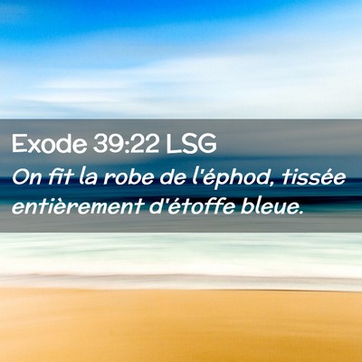 Picture 02 - Exode 39:22 LSG - On fit la robe de l'éphod, tissée entièrement - Bible Verse Picture