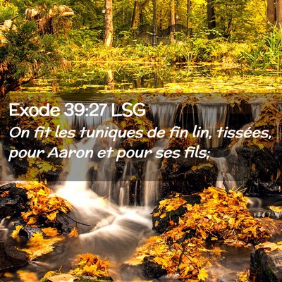 Picture 02 - Exode 39:27 LSG - On fit les tuniques de fin lin, tissées, pour - Bible Verse Picture