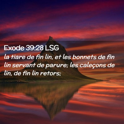 Picture 02 - Exode 39:28 LSG - la tiare de fin lin, et les bonnets de fin lin - Bible Verse Picture