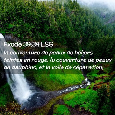 Picture 02 - Exode 39:34 LSG - la couverture de peaux de béliers teintes en - Bible Verse Picture