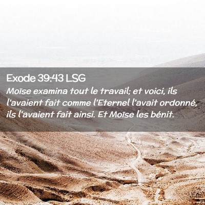 Picture 02 - Exode 39:43 LSG - Moïse examina tout le travail; et voici, ils - Bible Verse Picture