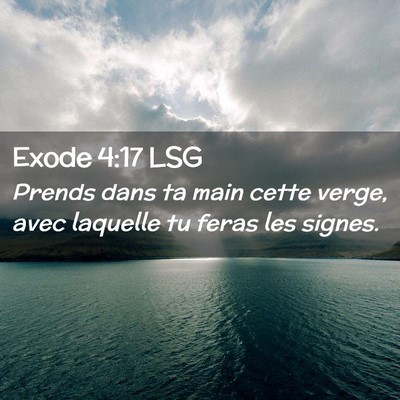 Picture 02 - Exode 4:17 LSG - Prends dans ta main cette verge, avec laquelle tu - Bible Verse Picture