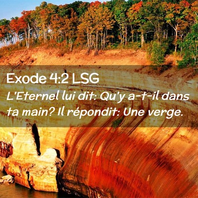 Picture 02 - Exode 4:2 LSG - L'Eternel lui dit: Qu'y a-t-il dans ta main? Il - Bible Verse Picture