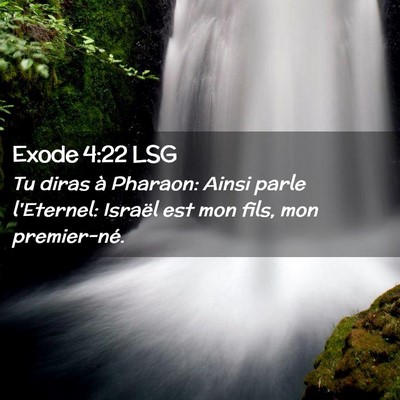 Picture 02 - Exode 4:22 LSG - Tu diras à Pharaon: Ainsi parle l'Eternel: - Bible Verse Picture