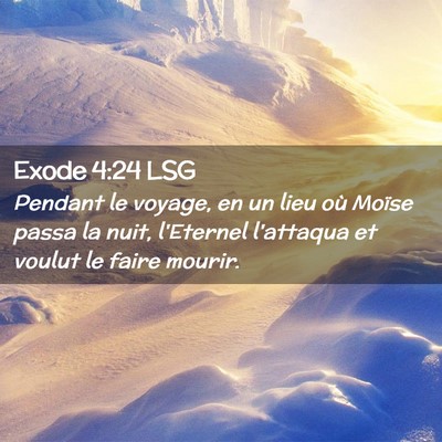 Picture 02 - Exode 4:24 LSG - Pendant le voyage, en un lieu où Moïse passa la - Bible Verse Picture