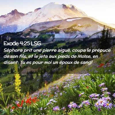Picture 02 - Exode 4:25 LSG - Séphora prit une pierre aiguë, coupa le - Bible Verse Picture