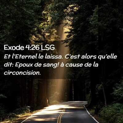 Picture 02 - Exode 4:26 LSG - Et l'Eternel le laissa. C'est alors qu'elle dit: - Bible Verse Picture