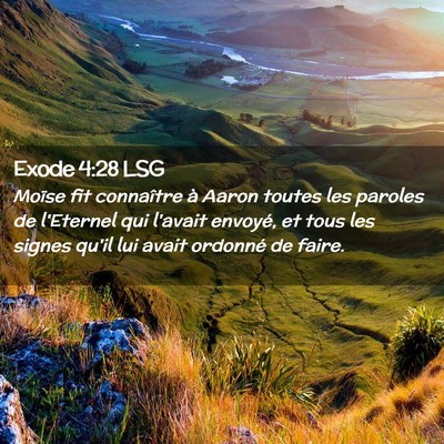 Picture 02 - Exode 4:28 LSG - Moïse fit connaître à Aaron toutes les paroles - Bible Verse Picture