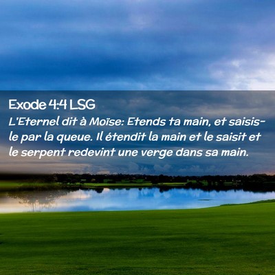 Picture 02 - Exode 4:4 LSG - L'Eternel dit à Moïse: Etends ta main, et - Bible Verse Picture