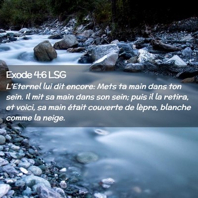 Picture 02 - Exode 4:6 LSG - L'Eternel lui dit encore: Mets ta main dans ton - Bible Verse Picture