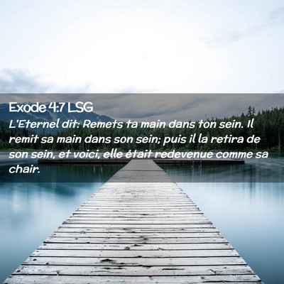 Picture 02 - Exode 4:7 LSG - L'Eternel dit: Remets ta main dans ton sein. Il - Bible Verse Picture