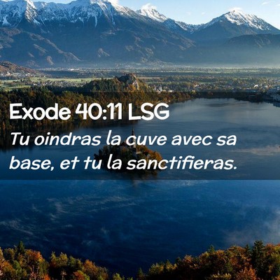 Picture 02 - Exode 40:11 LSG - Tu oindras la cuve avec sa base, et tu la - Bible Verse Picture