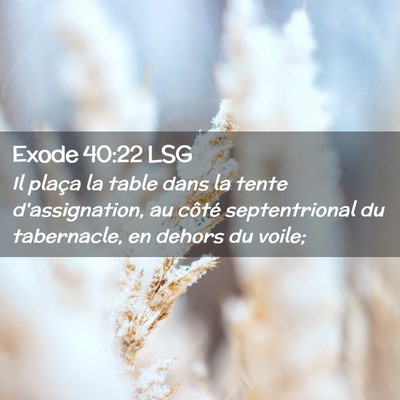 Picture 02 - Exode 40:22 LSG - Il plaça la table dans la tente d'assignation, - Bible Verse Picture