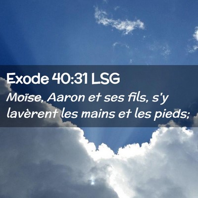 Picture 02 - Exode 40:31 LSG - Moïse, Aaron et ses fils, s'y lavèrent les - Bible Verse Picture