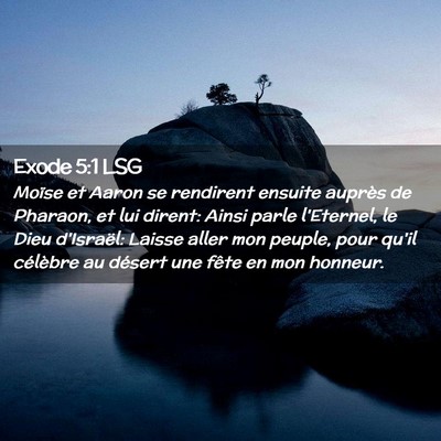 Picture 02 - Exode 5:1 LSG - Moïse et Aaron se rendirent ensuite auprès de - Bible Verse Picture