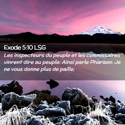 Picture 02 - Exode 5:10 LSG - Les inspecteurs du peuple et les commissaires - Bible Verse Picture