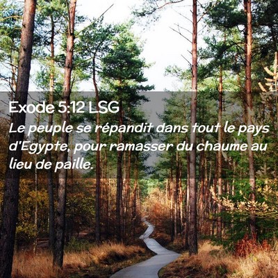 Picture 02 - Exode 5:12 LSG - Le peuple se répandit dans tout le pays - Bible Verse Picture