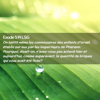 Picture 02 - Exode 5:14 LSG - On battit même les commissaires des enfants - Bible Verse Picture