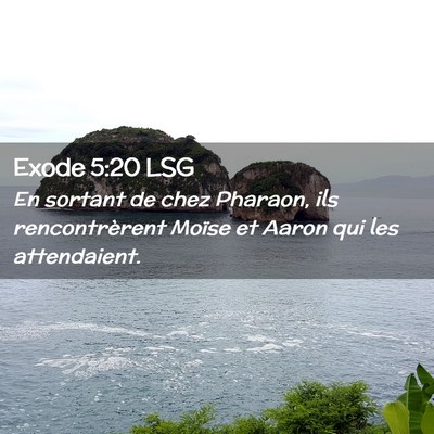 Picture 02 - Exode 5:20 LSG - En sortant de chez Pharaon, ils rencontrèrent - Bible Verse Picture