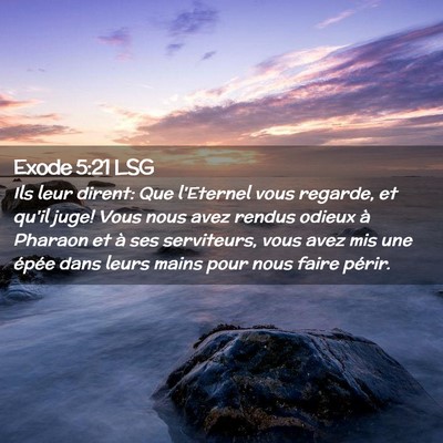 Picture 02 - Exode 5:21 LSG - Ils leur dirent: Que l'Eternel vous regarde, et - Bible Verse Picture