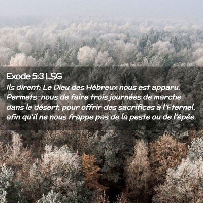 Picture 02 - Exode 5:3 LSG - Ils dirent: Le Dieu des Hébreux nous est apparu. - Bible Verse Picture