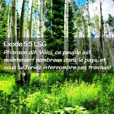 Picture 02 - Exode 5:5 LSG - Pharaon dit: Voici, ce peuple est maintenant - Bible Verse Picture