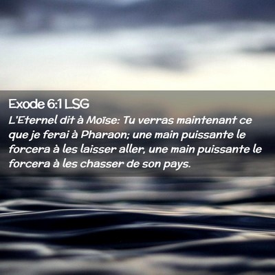 Picture 02 - Exode 6:1 LSG - L'Eternel dit à Moïse: Tu verras maintenant ce - Bible Verse Picture