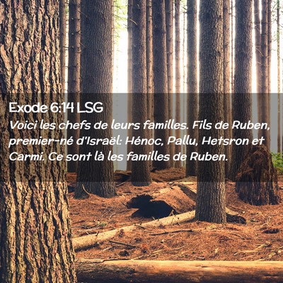 Picture 02 - Exode 6:14 LSG - Voici les chefs de leurs familles. Fils de Ruben, - Bible Verse Picture