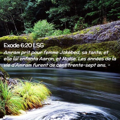 Picture 02 - Exode 6:20 LSG - Amram prit pour femme Jokébed, sa tante; et elle - Bible Verse Picture