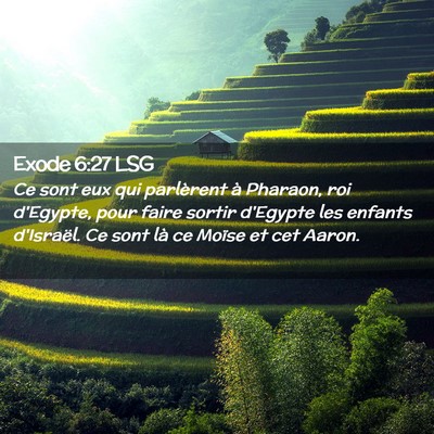 Picture 02 - Exode 6:27 LSG - Ce sont eux qui parlèrent à Pharaon, roi - Bible Verse Picture