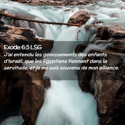 Picture 02 - Exode 6:5 LSG - J'ai entendu les gémissements des enfants - Bible Verse Picture