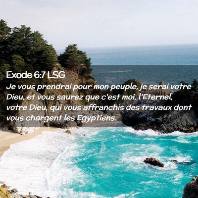 Picture 02 - Exode 6:7 LSG - Je vous prendrai pour mon peuple, je serai votre - Bible Verse Picture