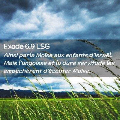 Picture 02 - Exode 6:9 LSG - Ainsi parla Moïse aux enfants d'Israël. Mais - Bible Verse Picture